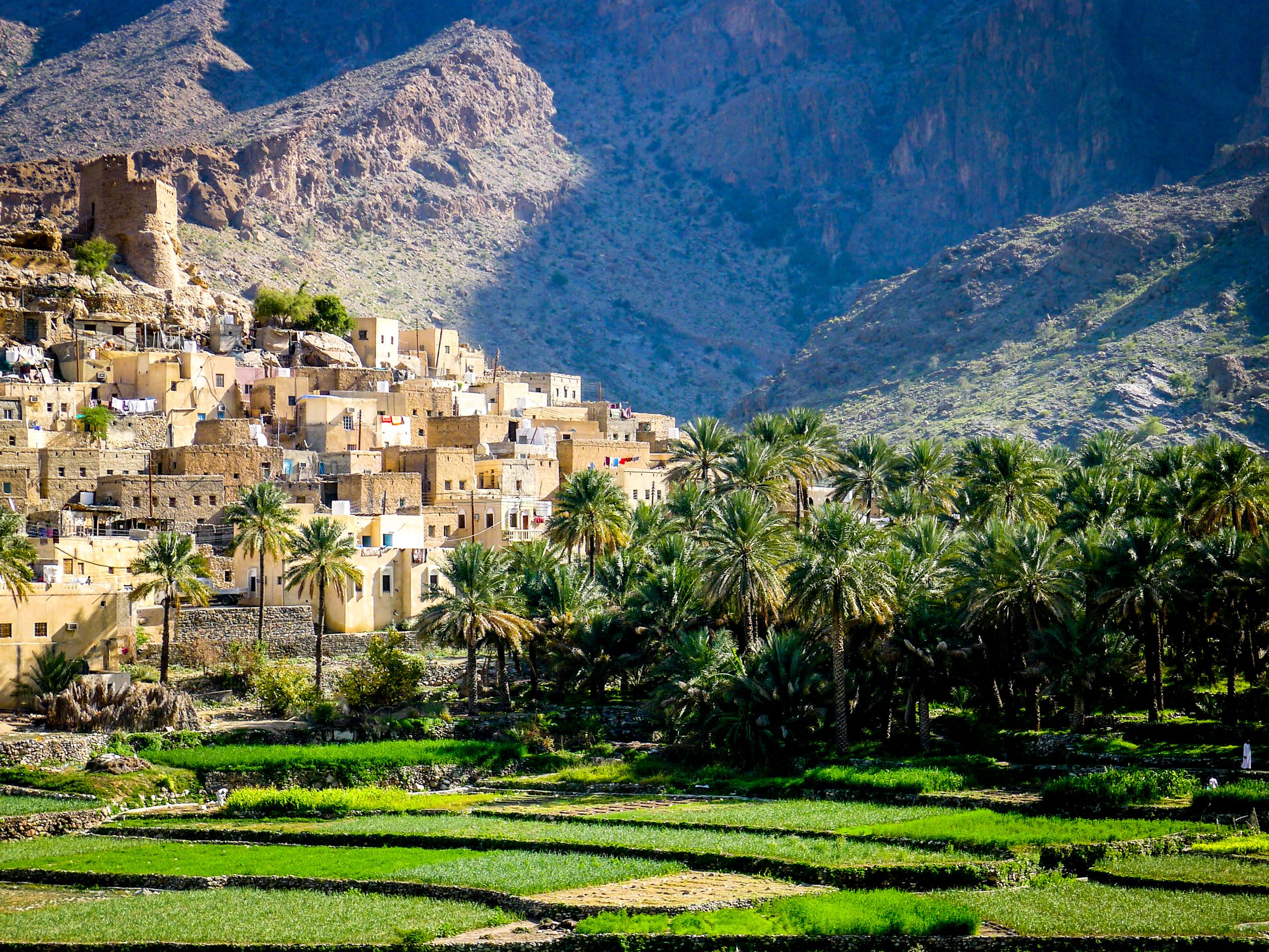 مسقط