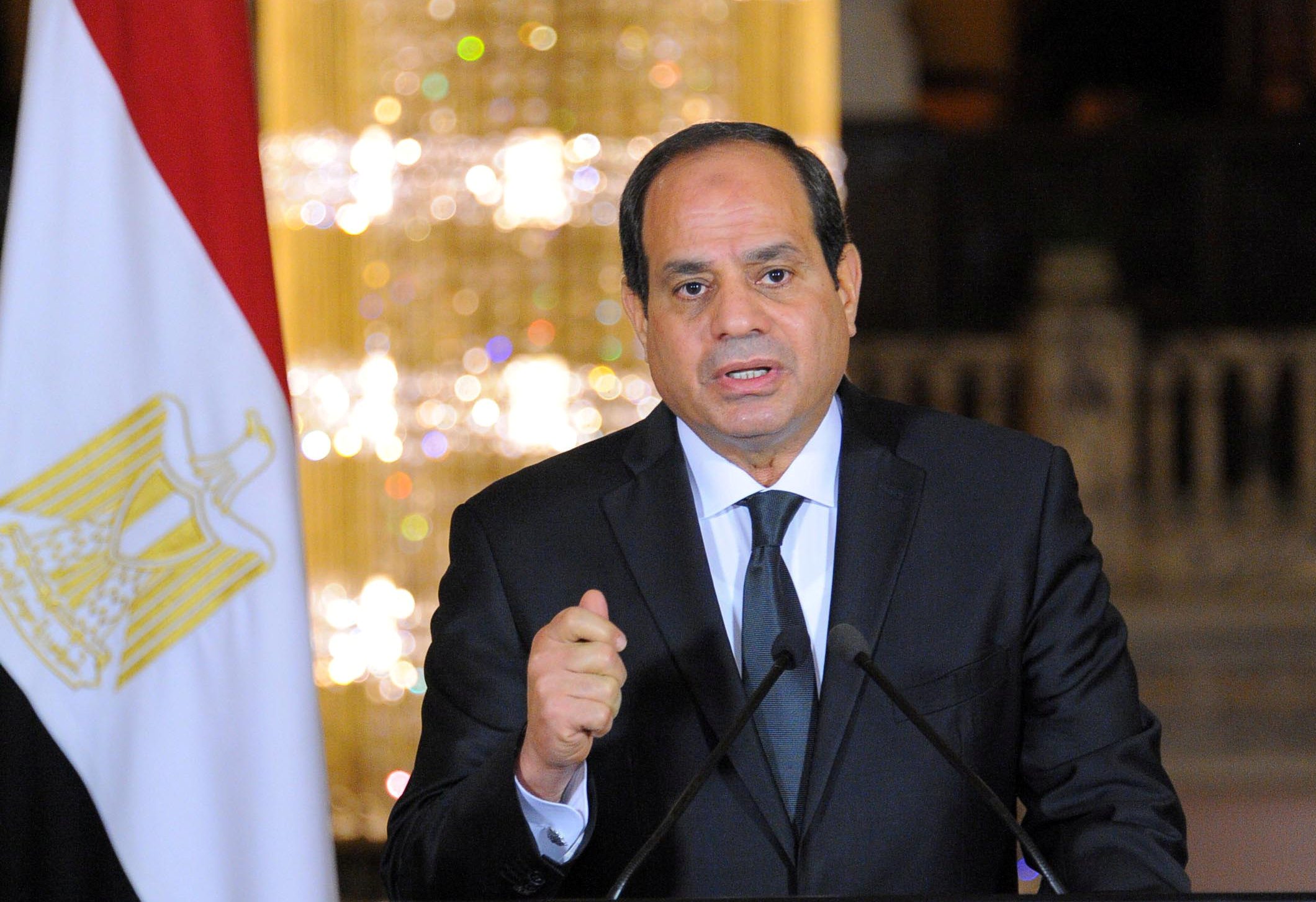 الرئيس المصري عبدالفتاح السيسي/ رويترز