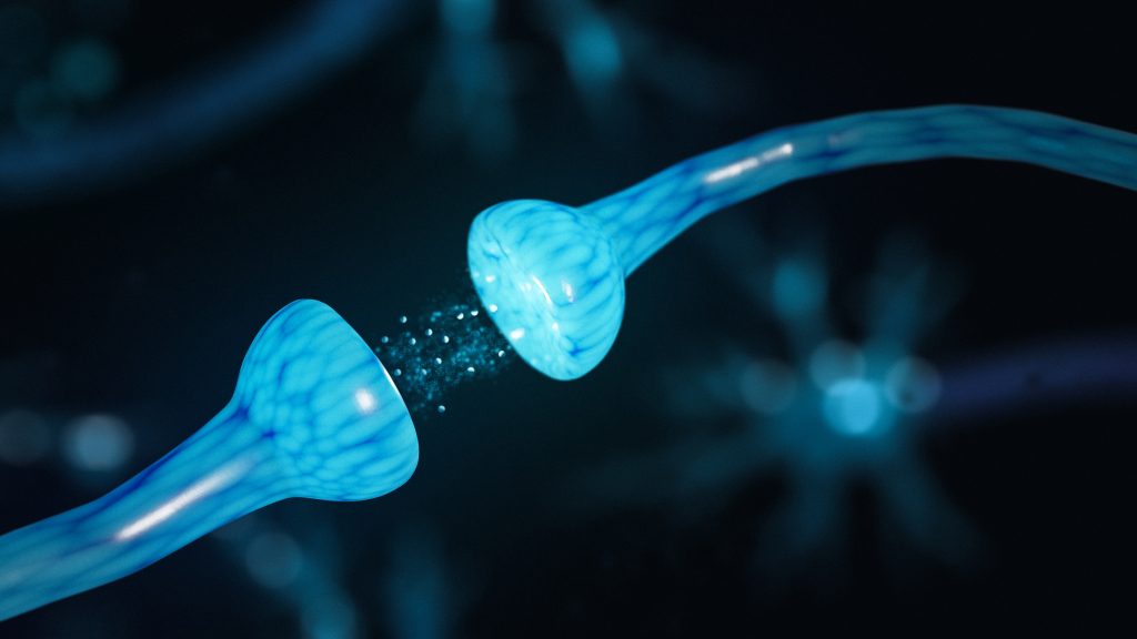 خلل الهرمونات وعلاقته بزيادة ونقص الوزن