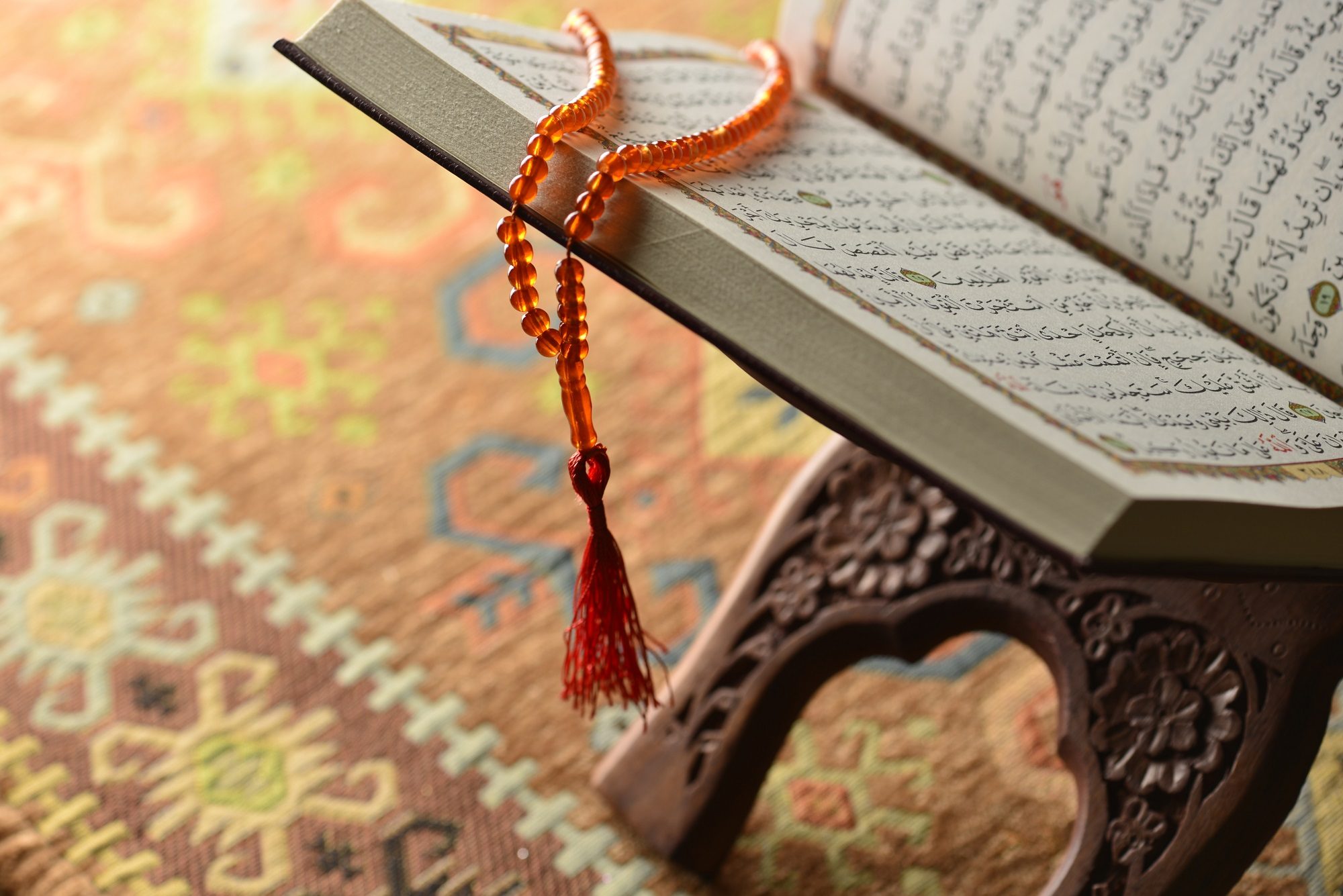 25 طناً من المصاحف ستُباع في مزاد علني بالهند! السعودية أرسلتها لكن لم يدفع أحد رسومها الجمركية