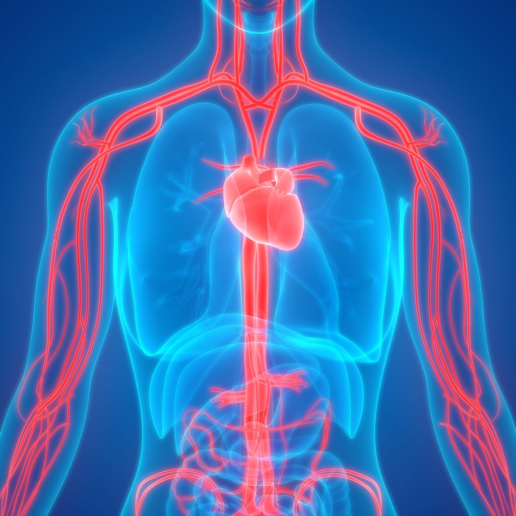  علامات وأعراض  ضعف الدورة الدموية