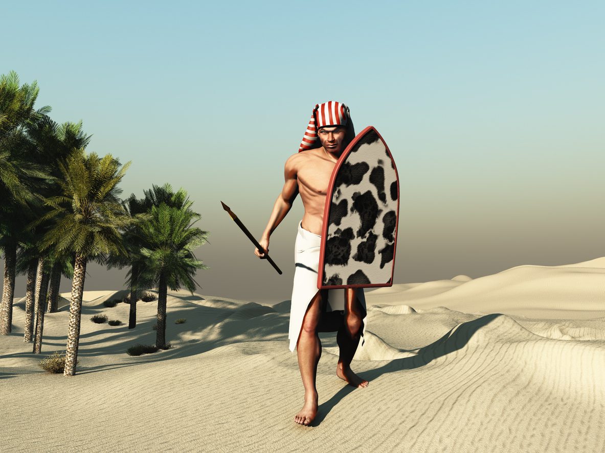iStock/ الدرع المقوَّى