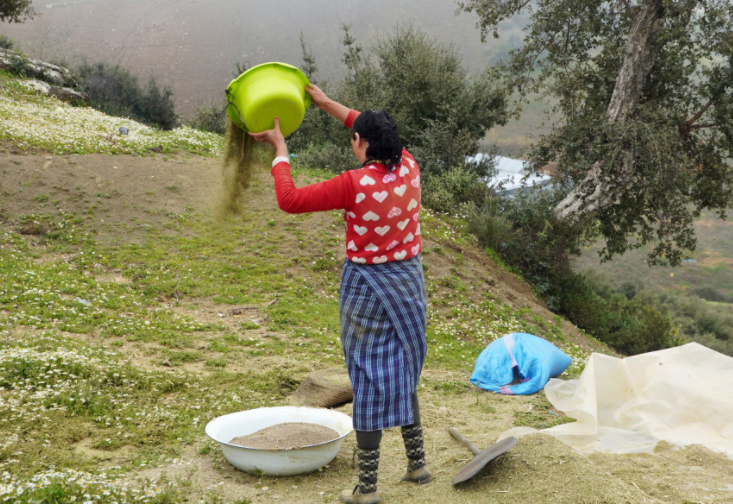 مؤيدو المشروع يتحدثون عن فوائده لسكان المناطق الشمالية التي تعد من أفقر المناطق في المغرب/رويترز