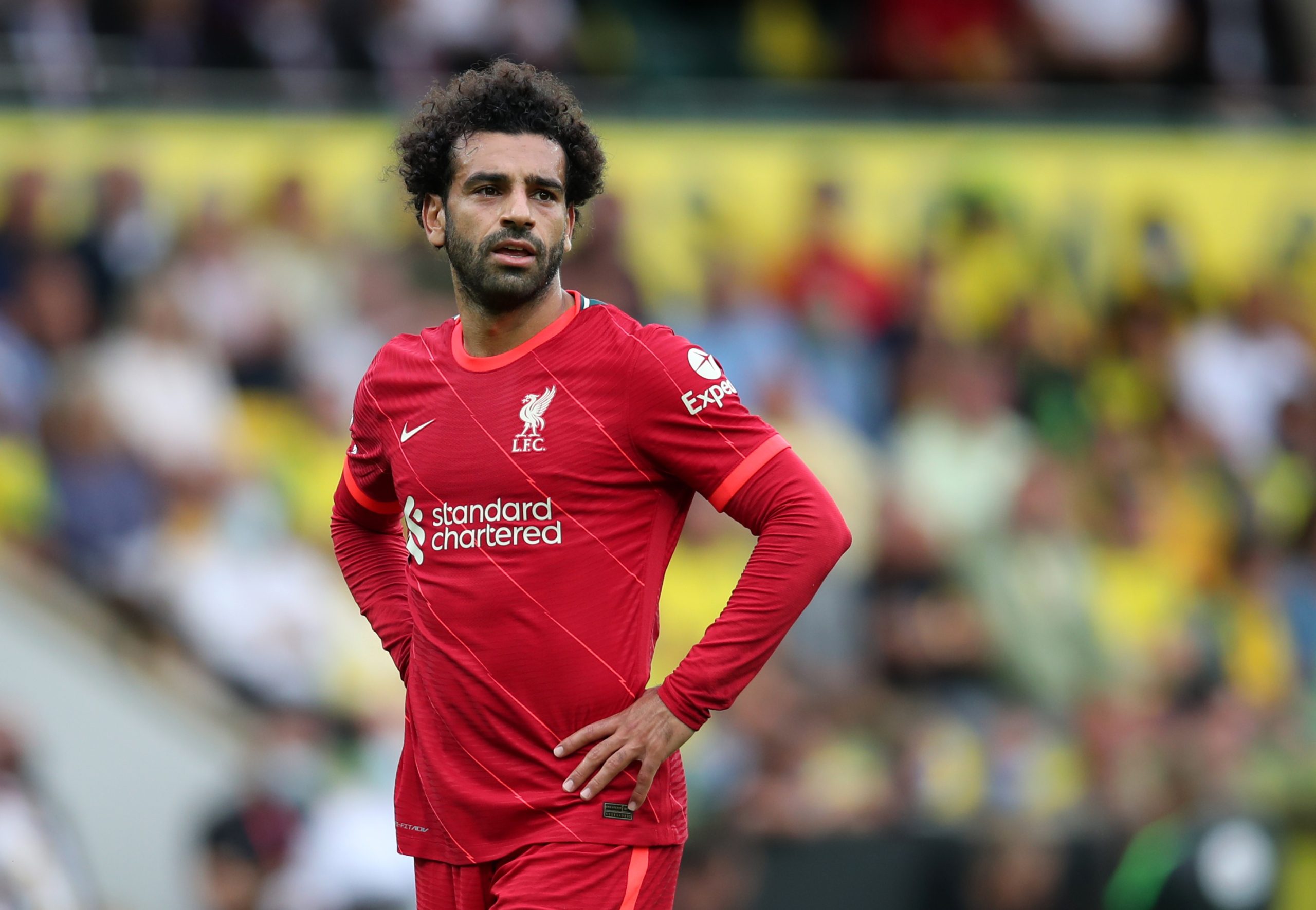 محمد صلاح نجم منتخب مصر ونادي ليفربول (رويترز)
