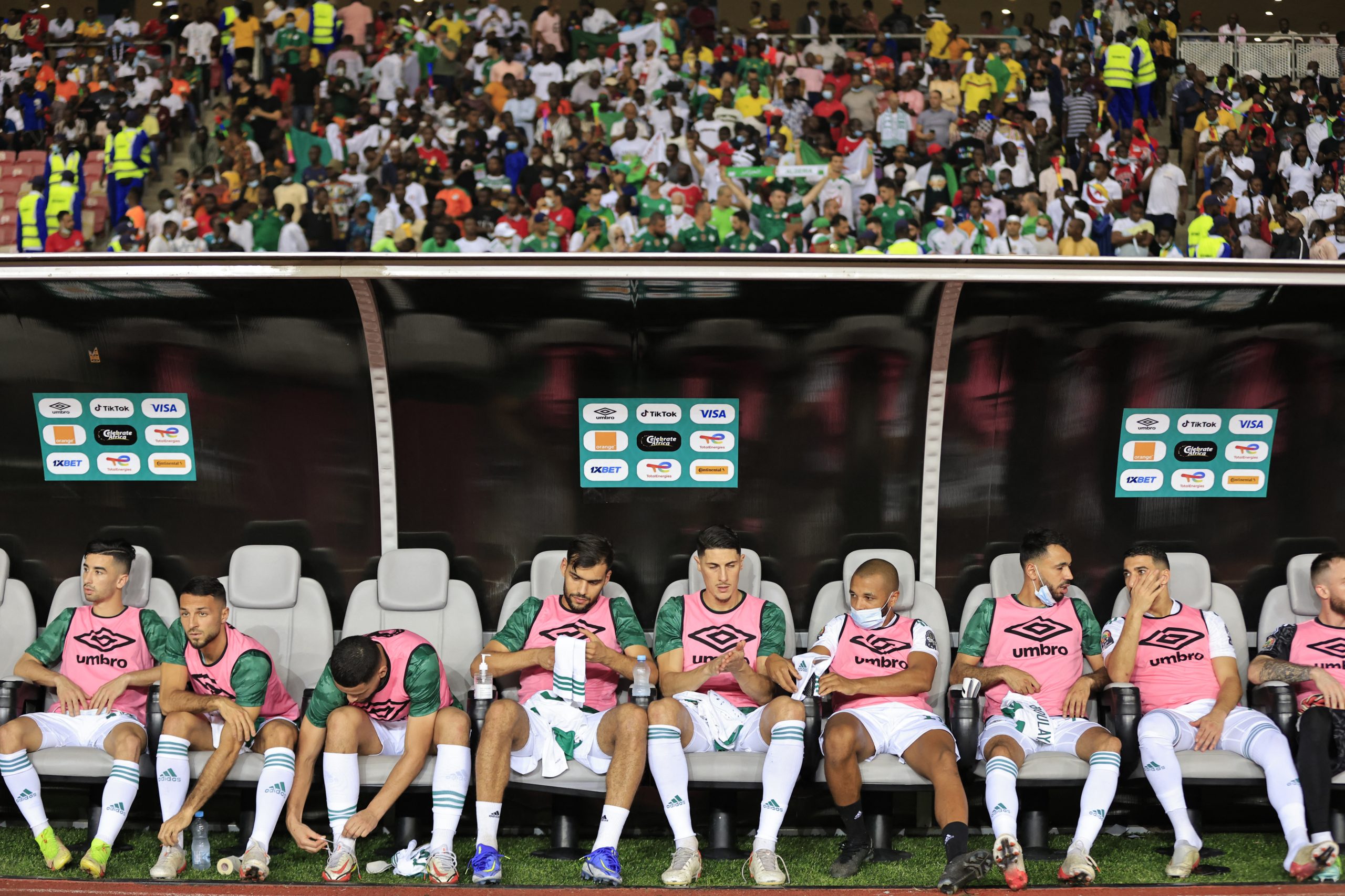 دكة الاحتياط للمنتخب الجزائري في كأس إفريقيا 2021 (رويترز)