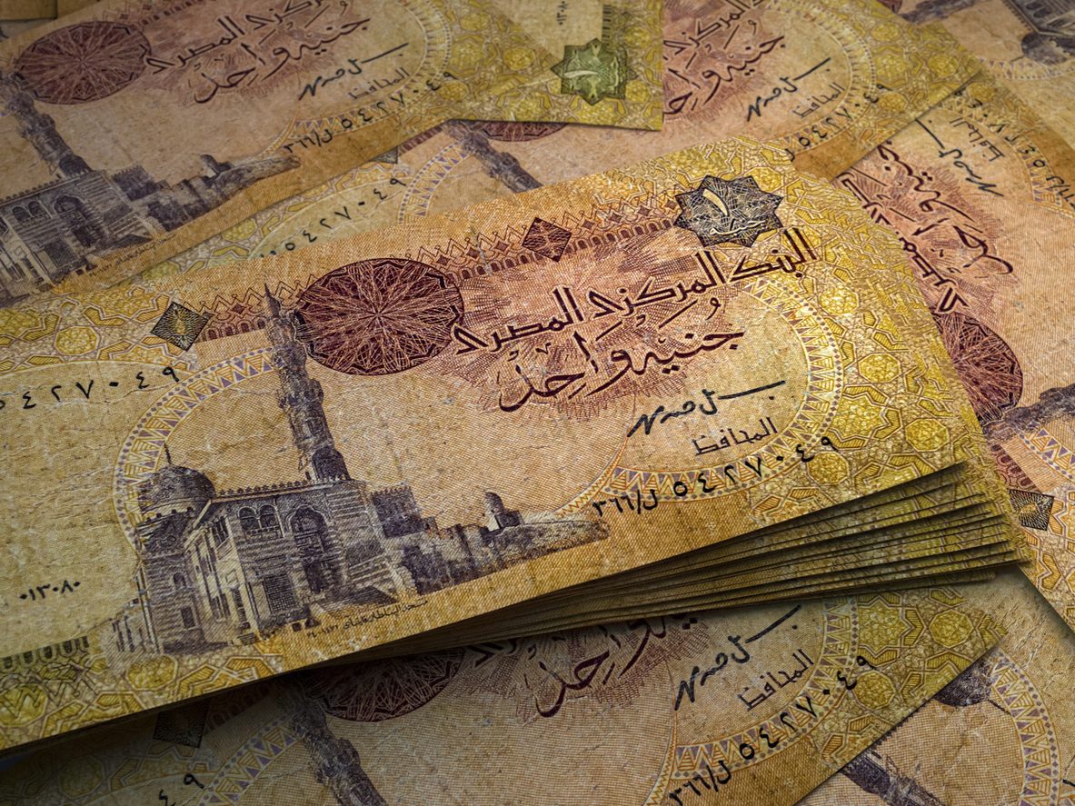 الجنيه المصري/ Istock