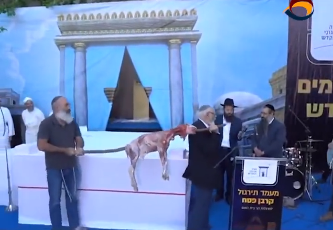 قرابين الفصح المسجد الأقصى