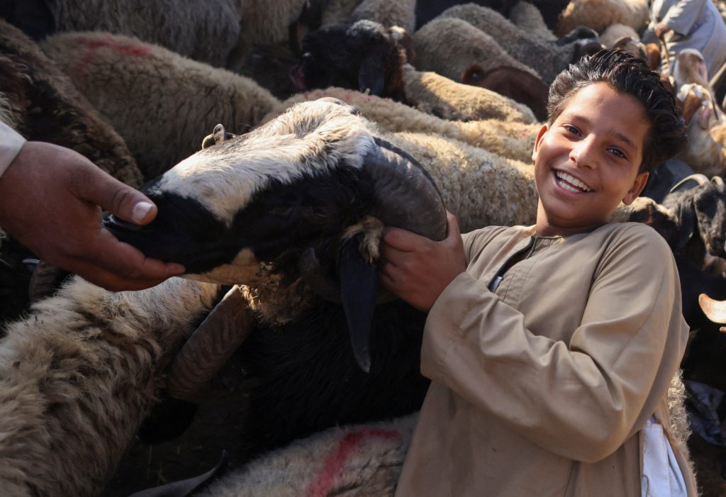 عيد الأضحى دول عربية ارتفاع الأسعار
