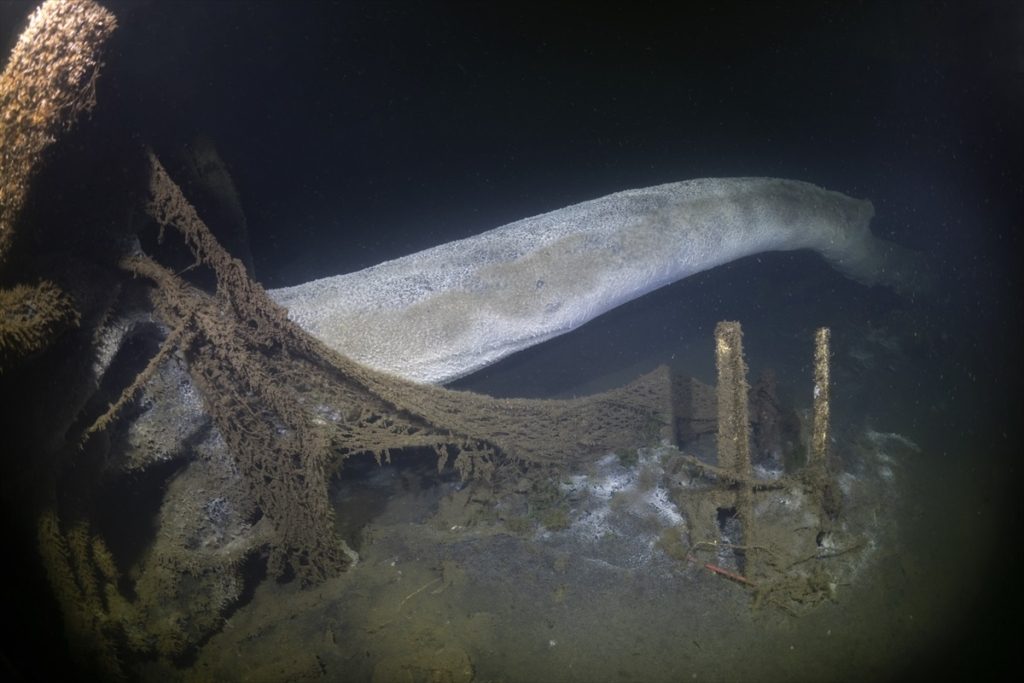 "المدينة الغارقة" مقابل سواحل تركيا