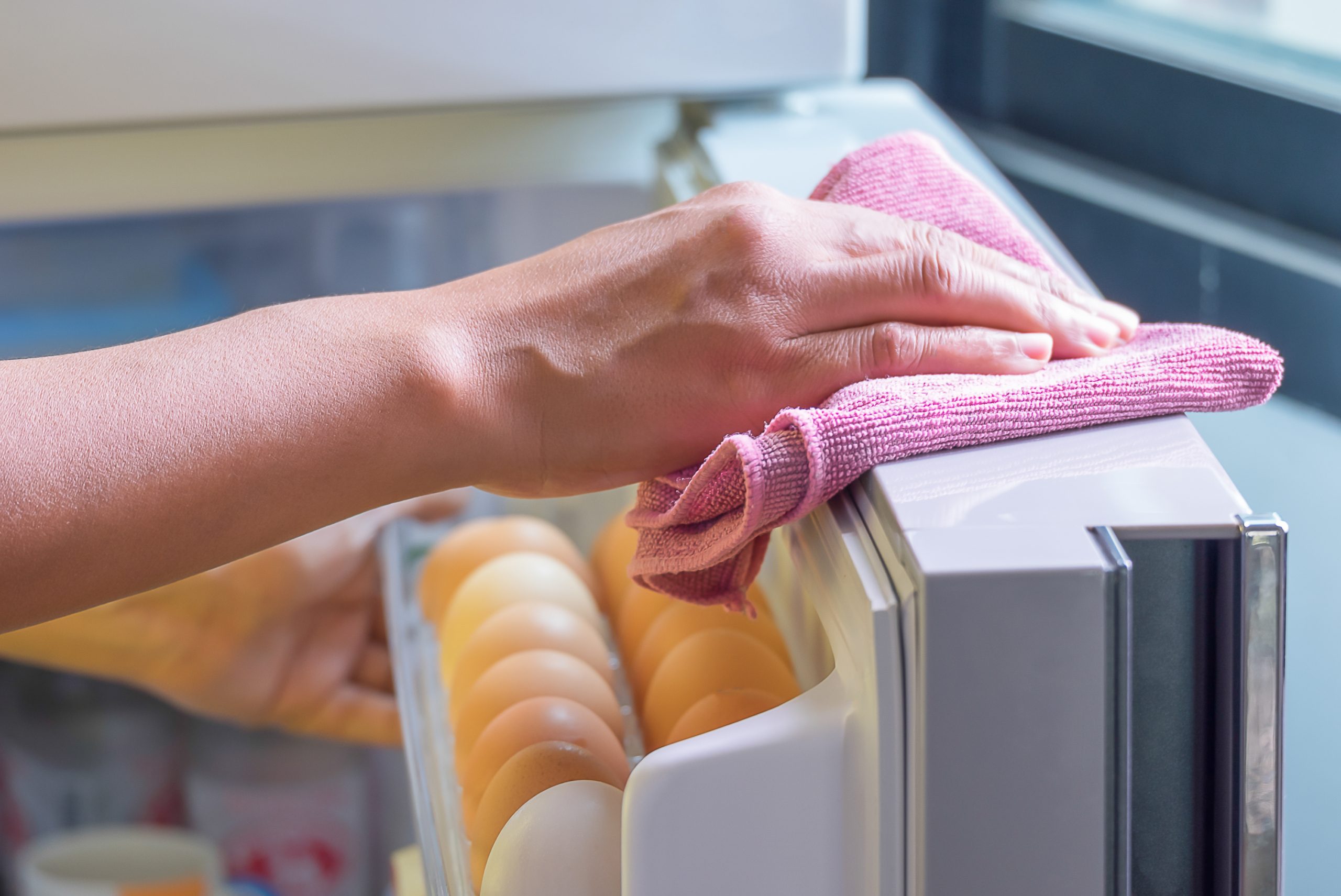 من الضروري استخدام مطهرات لسطح الثلاجة من الداخل - ShutterStock