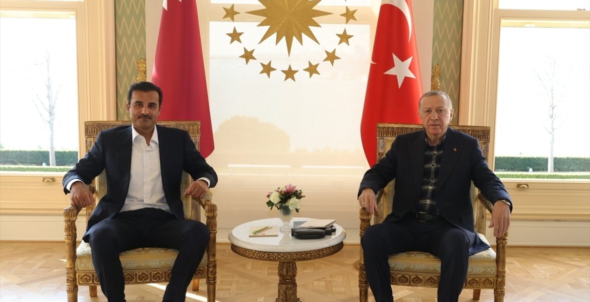 الرئيس التركي رجب طيب أردوغان وأمير قطر الشيخ تميم بن حمد آل ثاني/الأناضول