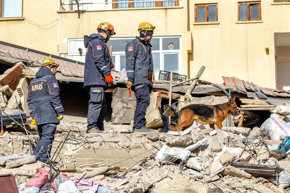 ولاية إلازيغ