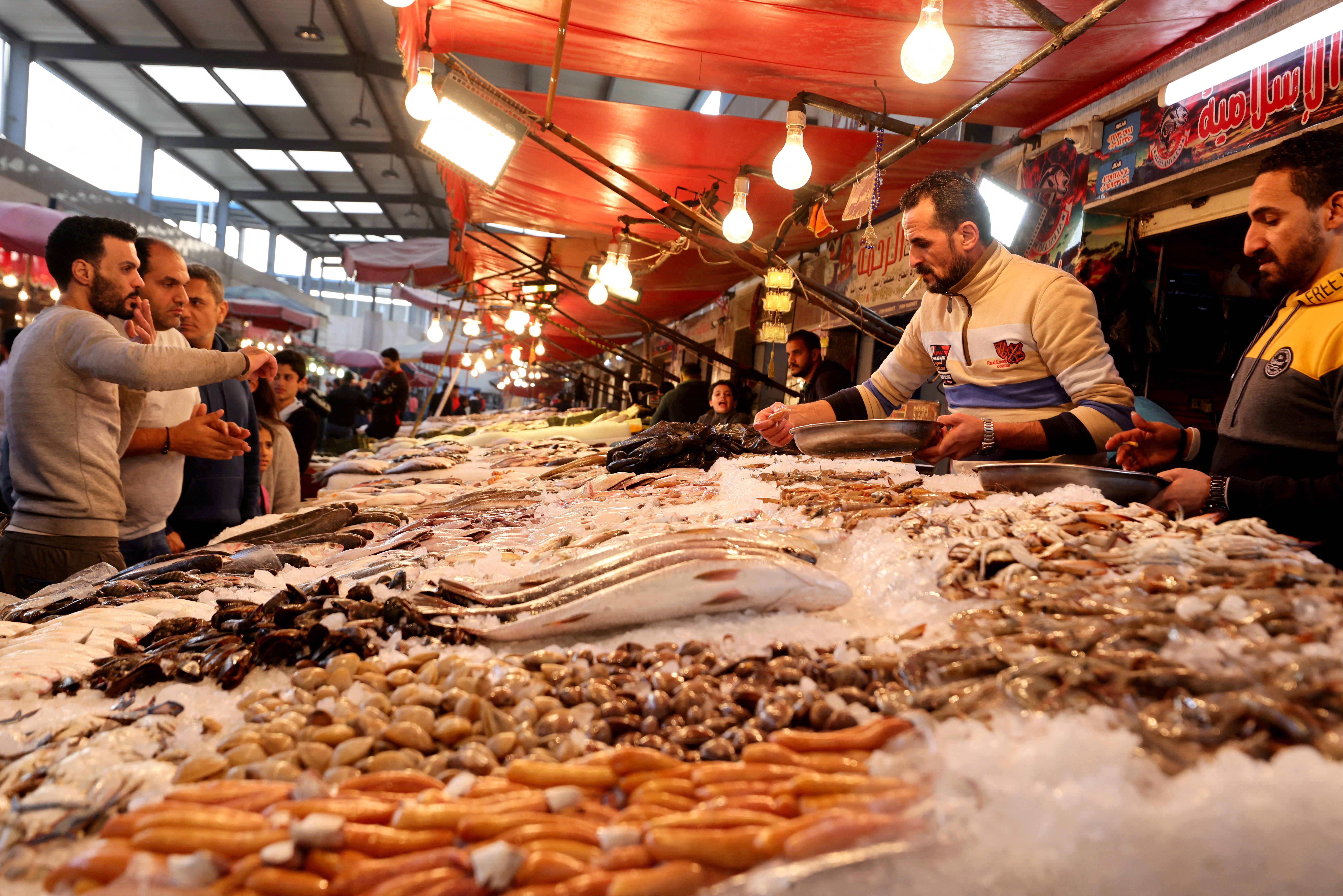 الثروة السمكية في مصر تأثرت بتدخل الجيش في هذا القطاع سلبا - رويترز