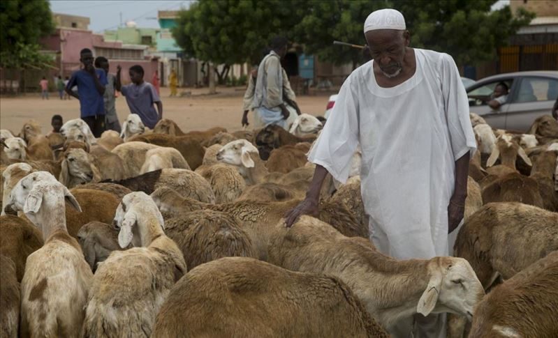 التداعيات الاقتصادية لأزمة السودان