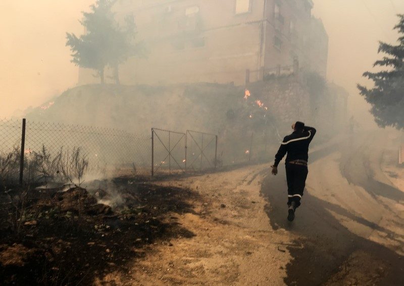 حرائق الغابات الجزائر 