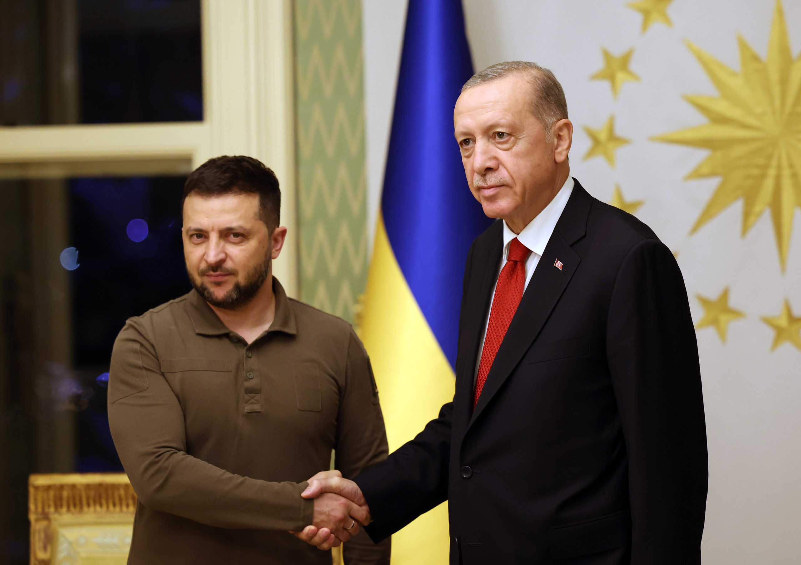 أردوغان وزيلينسكي/ الأناضول