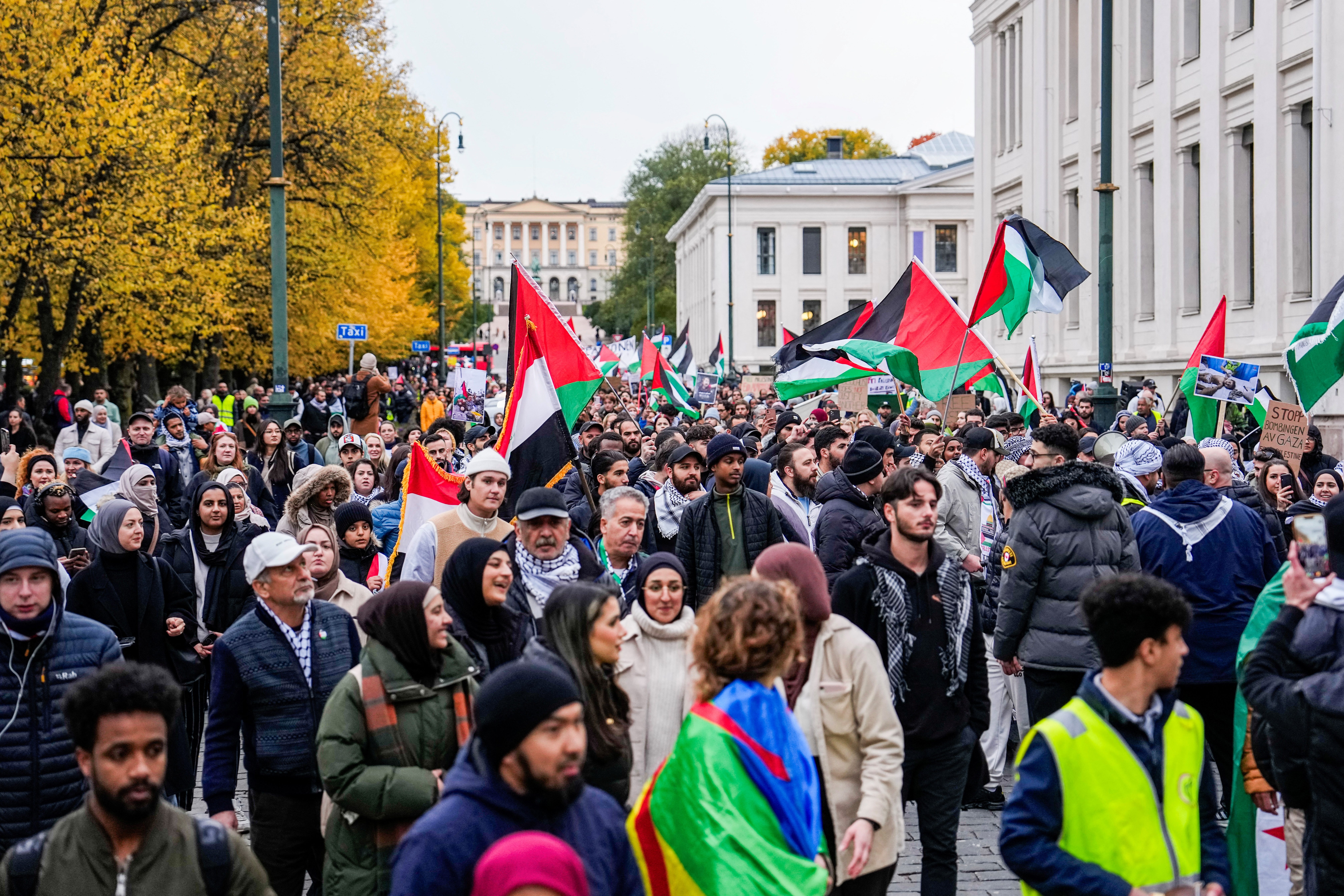 احتجاجات فلسطين قطاع غزة النرويج